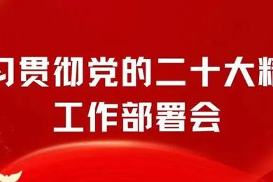 集团旗下pg电子职业手艺学院召开学习贯彻党的二十大精神事情安排会